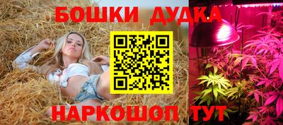 твердый Новокубанск