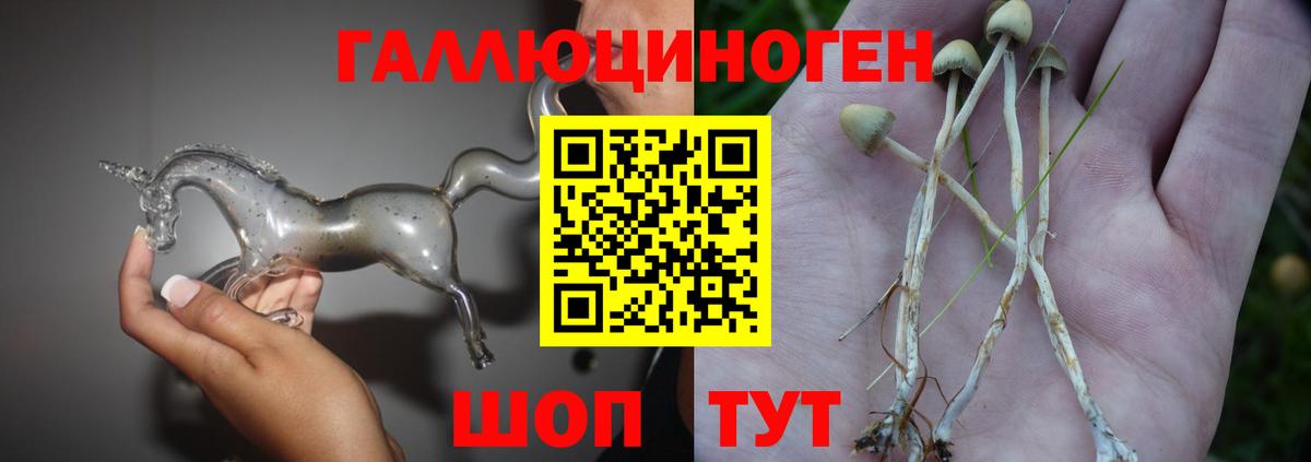 Прохладный  Псилоцибиновые грибы ЛСД  Вход с VPN 
